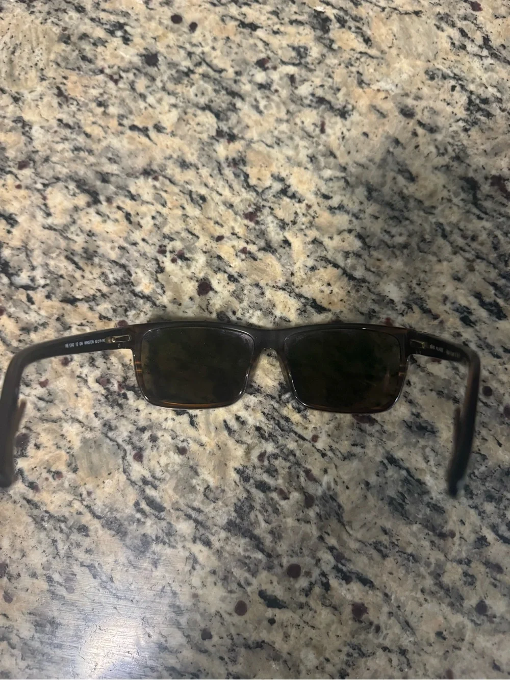 Revo Winston Sunglasses in Brown Horn